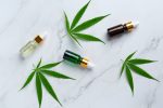 cannabis consultant