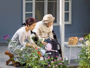 elder care at home