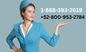 Frontier airlines customer service