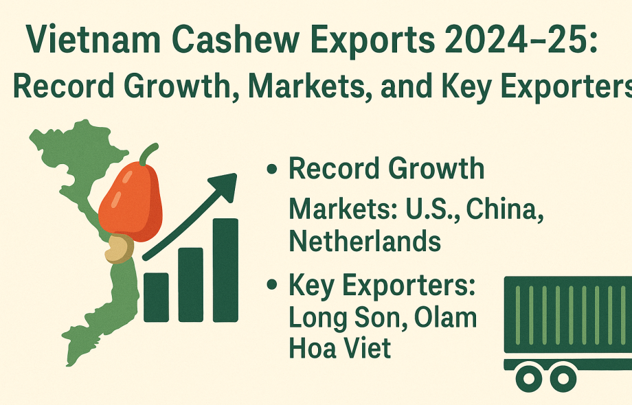 vietnam cashew exports