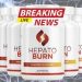 Hepatoburn Max User Reviews (2025) Real Experiences