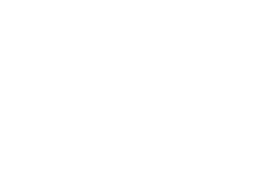 Visa Consultants in Ludhiana