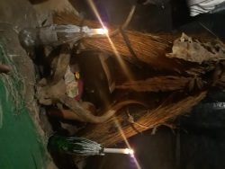 Effective love spells