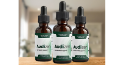 Audizen