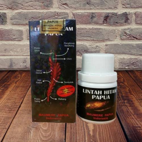 Minyak Lintah Di Bogor