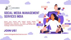 Social Media Management Services India