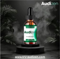 audizen