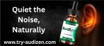audizen