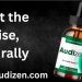 audizen