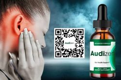 audizen