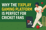 11xplay