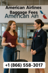 American Airlines Baggage Policy