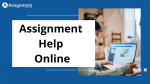 Assignment Help