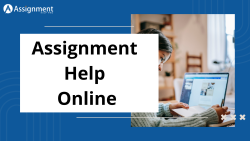 Assignment Help