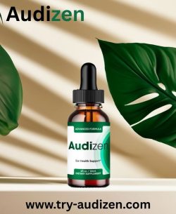 audizen