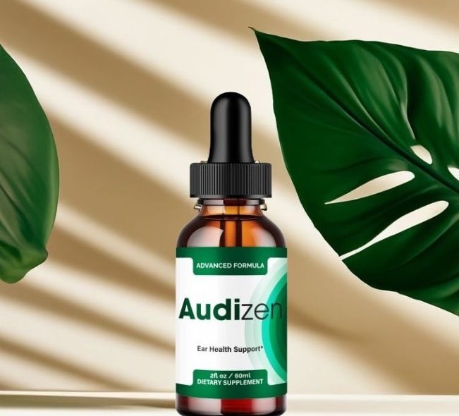 audizen
