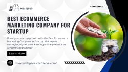 Best Ecommerce Marketing Company for Startup
