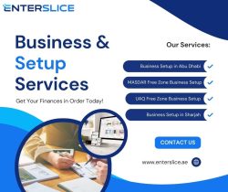 Business & Setup Services