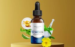 EchoXen