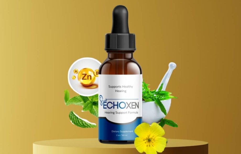 EchoXen