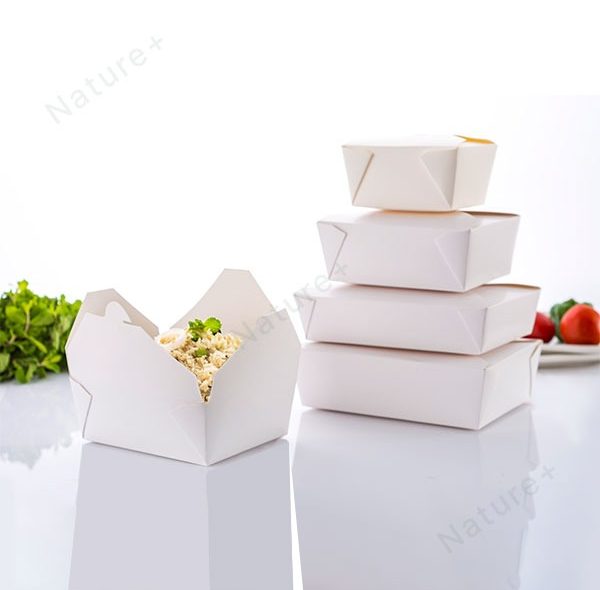 Disposable Lunch box wholesale