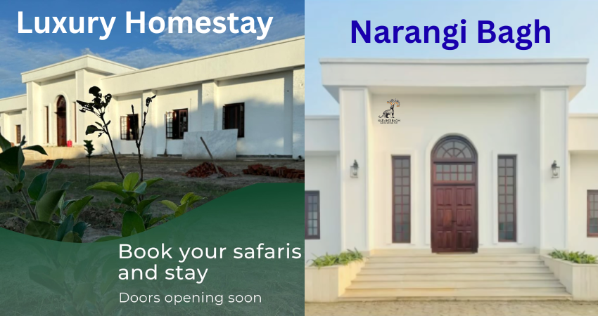 Narangi Bagh – The Top Luxury Homestay in Dudhwa