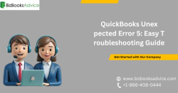 QuickBooks Unexpected Error 5