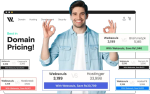 .pk domains