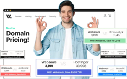 .pk domains