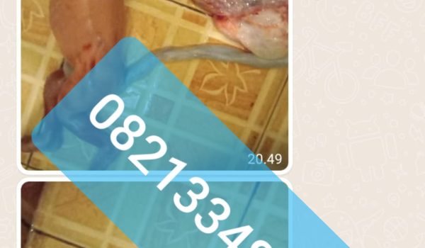 obat aborsi asli 082133482133