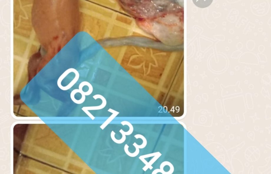 obat aborsi asli 082133482133