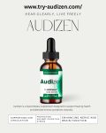 audizen