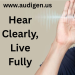 audizen