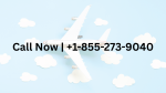 Call-Now-1-855-273-9040