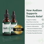 audizen