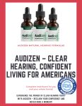 audizen