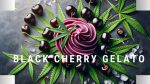 Black Cherry Gelato Strain