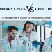 Primary Cells vs. Cell Lines