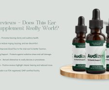 audizen
