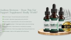 audizen