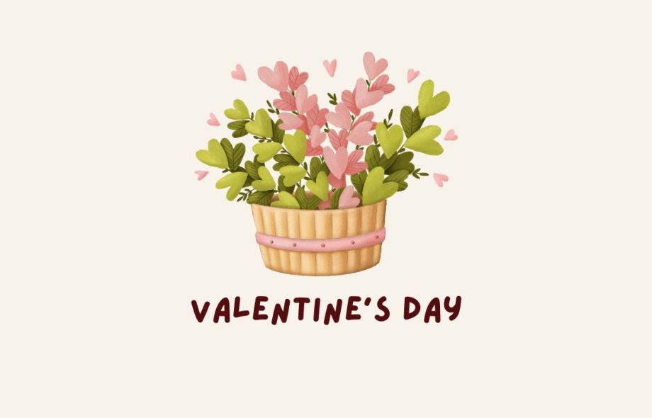 Valentine’s Day Flowers in Egypt