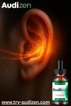 audizen