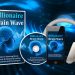 billinaire brain wave