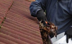 eavestrough cleaning in Winnipeg