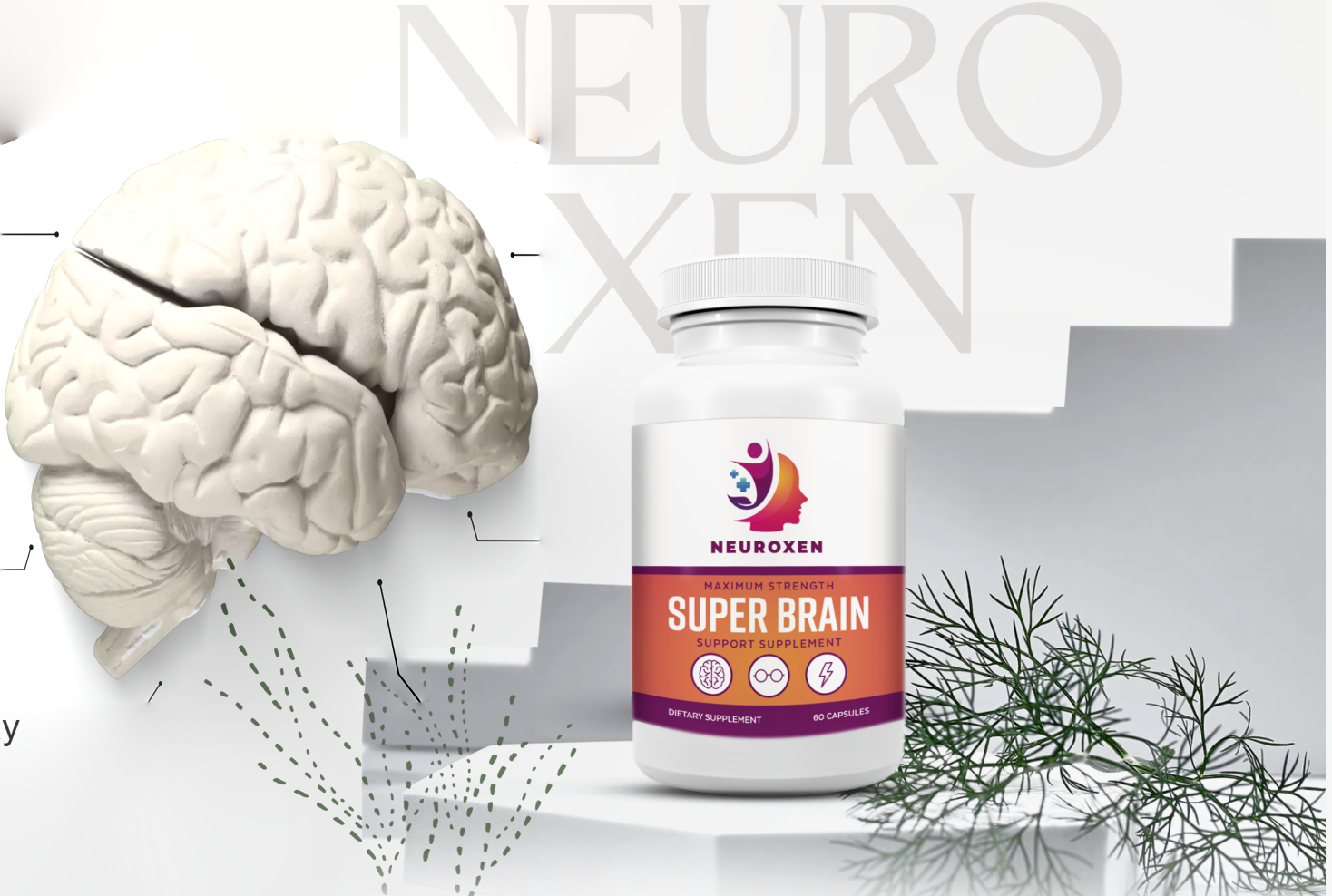 neuroxen-1