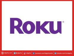 roku support us