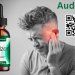 audizen