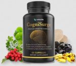 cognisurge