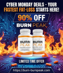 BurnPeak Cyber Monday