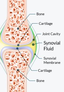 Joint Genesis Review